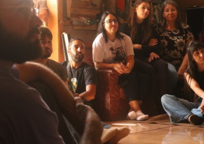 504559360_4161911264055053_2137669762498998733_n - Comitê de Cultura AFRODESMO